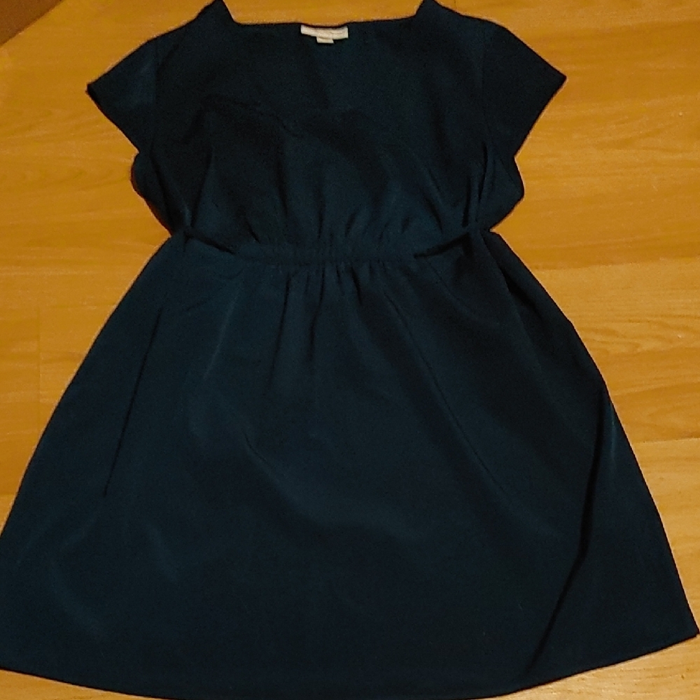 Liz Lange Dark Blue Blouse